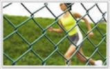 Chain link fence